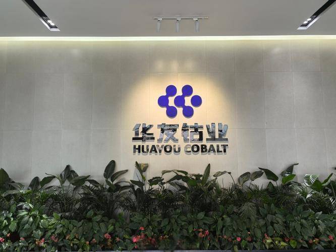 四年了，“华友鈷(gǔ)业”，杀出来了！