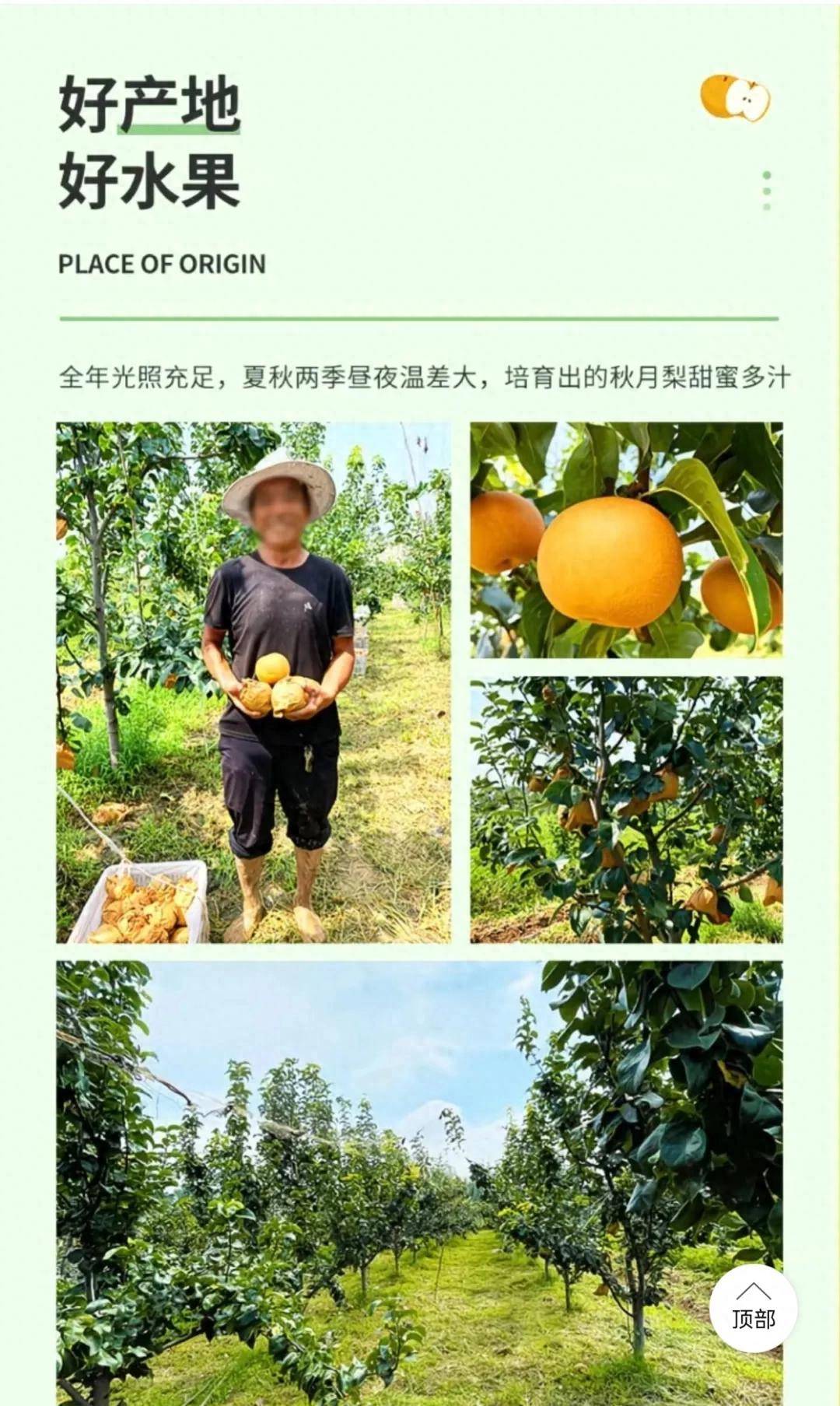 日销8000单，拼多(duō)多(duō)“秋月梨之王”是如何(hé)炼成的？